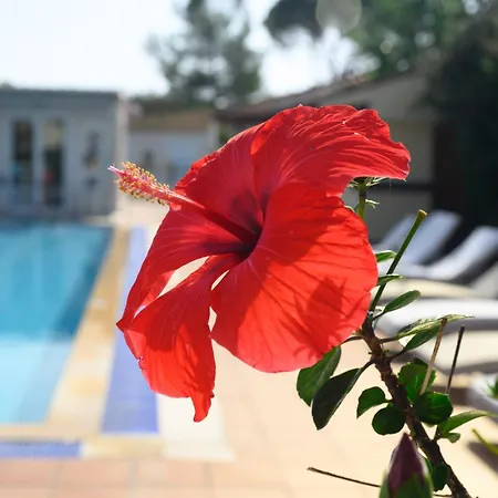 Hotel Cavomarina Beach- Adults Only